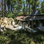 La Fattoria Di Paolo