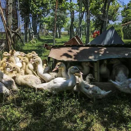 La Fattoria Di Paolo