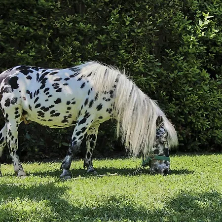 La Fattoria Di Paolo Country house *