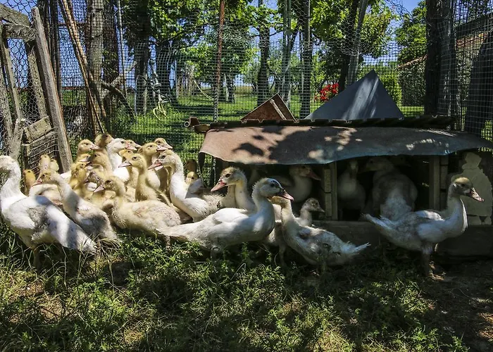 La Fattoria Di Paolo